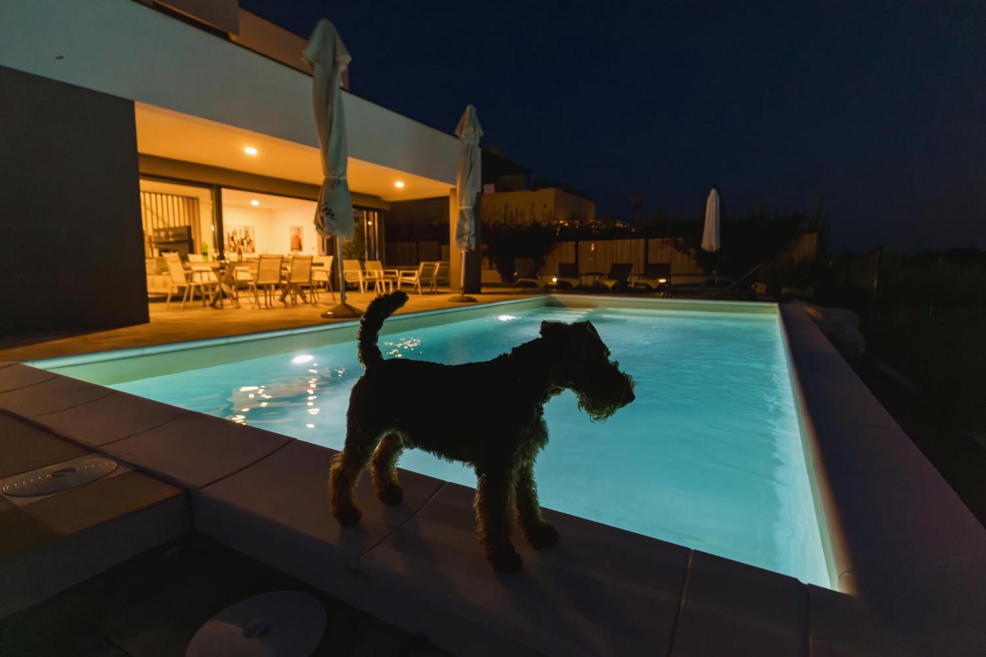Villa Boiky - Private Pool And Amazing Sea View, Istria Materada 외부 사진