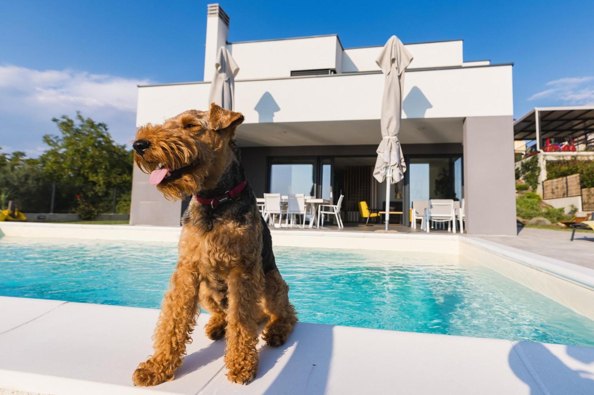 Villa Boiky - Private Pool And Amazing Sea View, Istria Materada 외부 사진